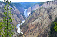 Waterfall, Yellowstone NP Wyoming