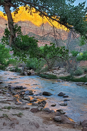 Landscape 8 Zion NP