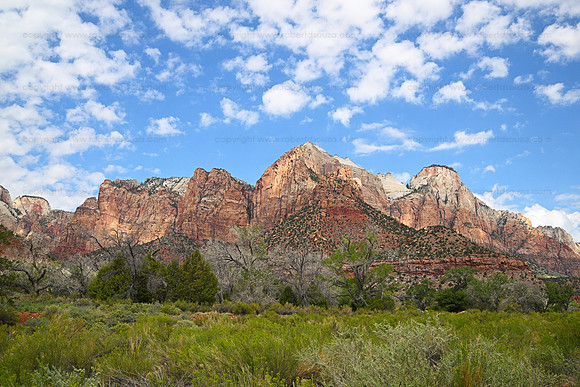 Landscape3 Zion NP