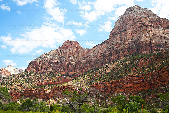 Landscape4 Zion NP