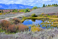 Landscape, Yellowstone NP Wyoming