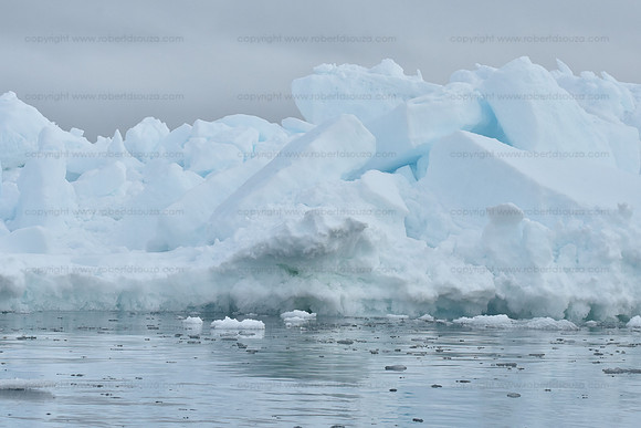 Ice jam, Svalbard Norway