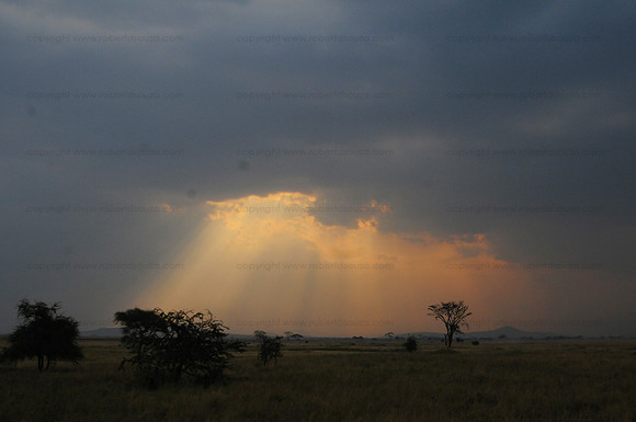 Landscape, Serengeti NP