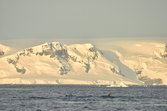 Landscape1, Antarctic Peninsula