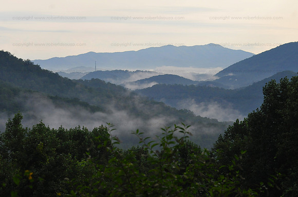 Scene 1, Smoky Mountains NP