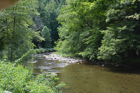 Scene 2, Smoky Mountains NP