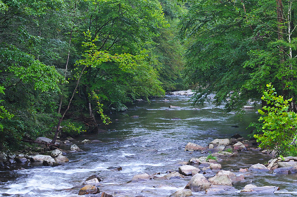 Scene 3, Smoky Mountains NP