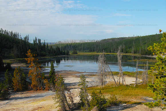 Nymph Lake, Yellowstone NP