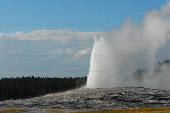 Old Faithful geyser 1, Yellowstone NP
