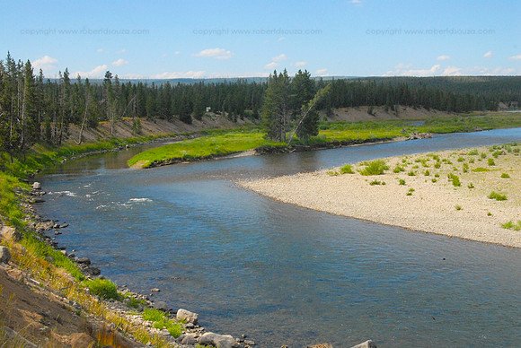 Scene 1, Yellowstone NP