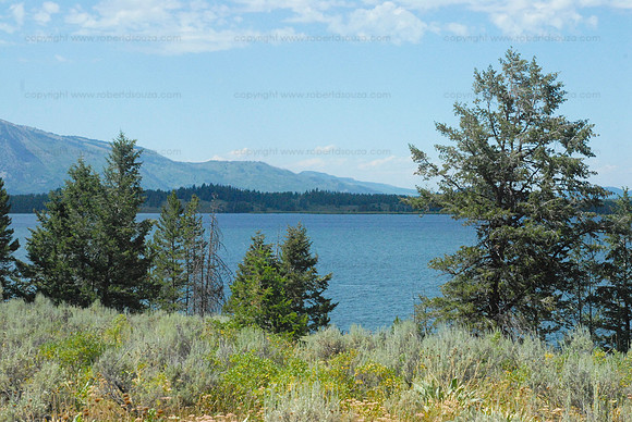 Scene 2, Yellowstone NP