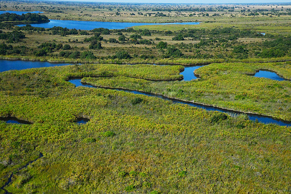 Aerial view of the Okavango Delta, Botswana