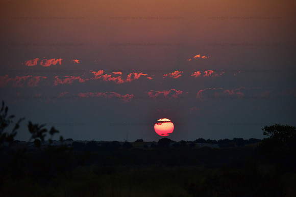Sunset, Savuti, Botswana