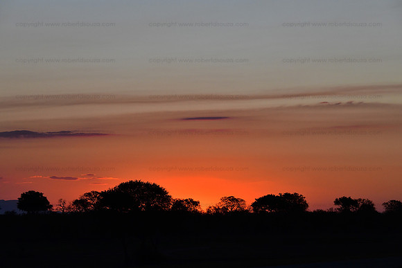 Sunrise, Sabi Sands, South Africa
