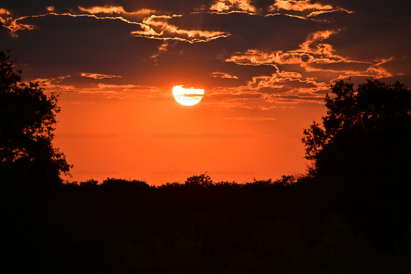 Sunset, Savuti, Botswana