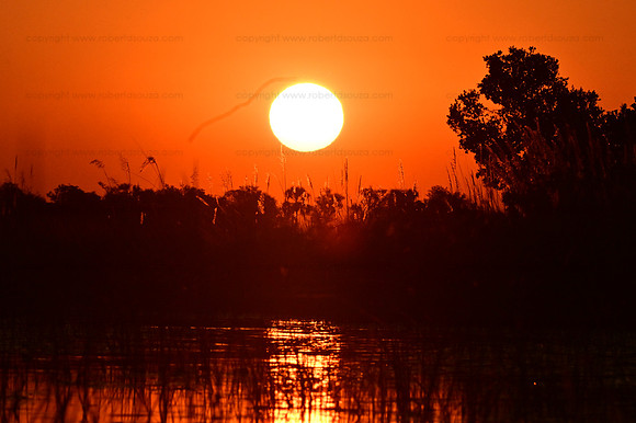 Sunset, Okavango Delta, Botswana