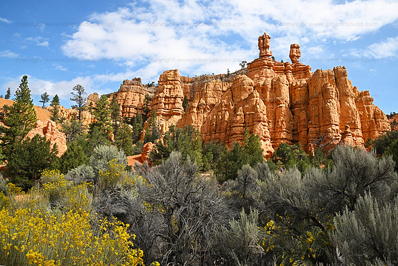 Landscape1 Zion NP